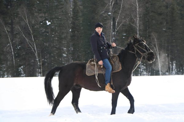 Всадник на заснеженной поляне