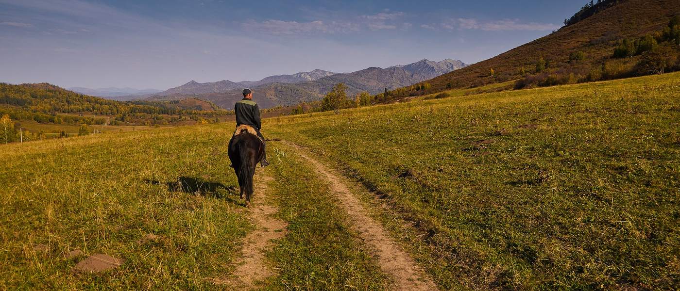 Табун лошадей на осеннем лугу